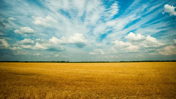 Ukraine
